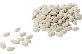 Witte bonen 500gr